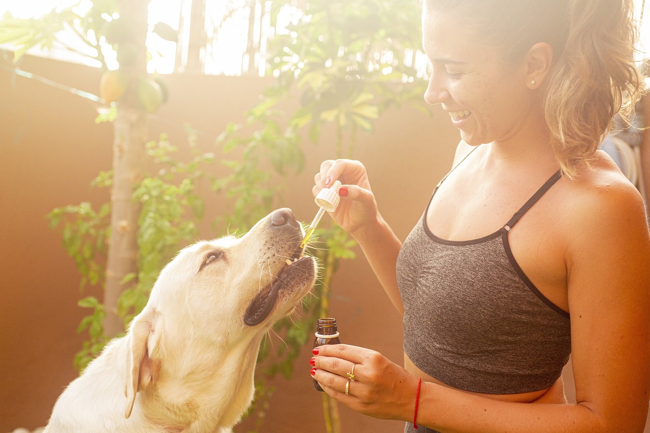 DIY Natural Pest Control Techniques